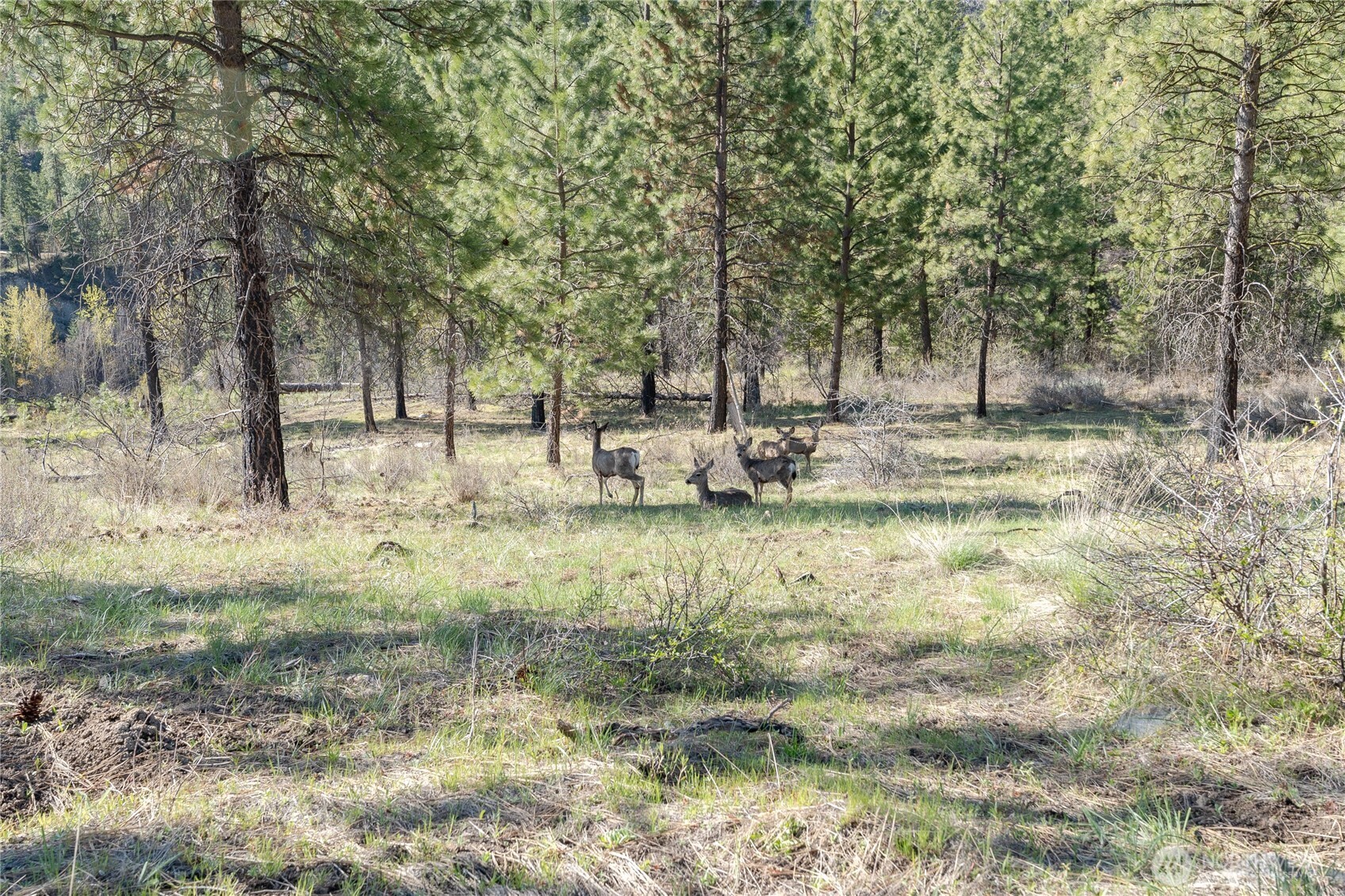 241 Chickadee Mountain Lane , Chelan, WA 98816