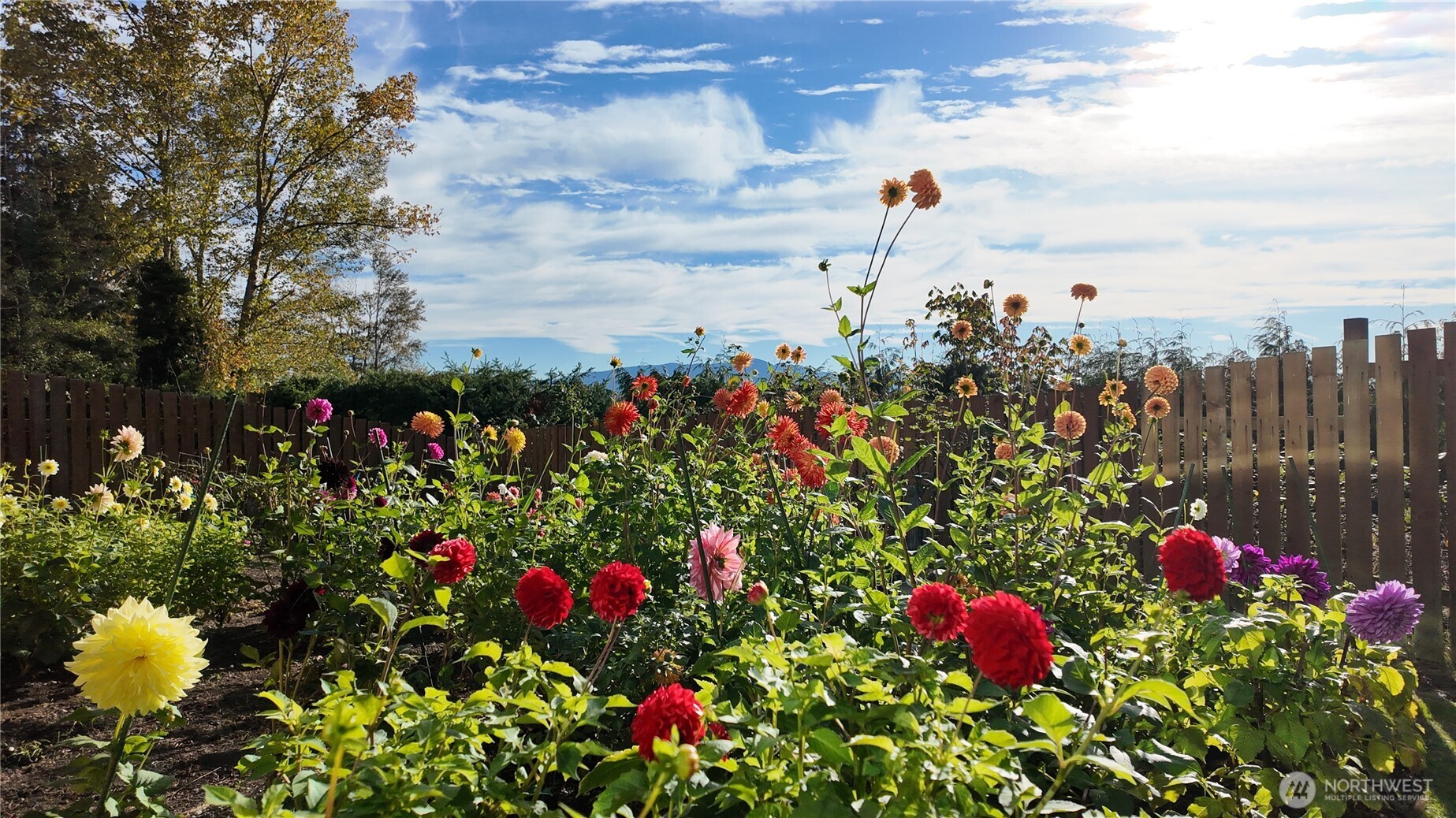 12509 Patricia Lane , Burlington, WA 98233