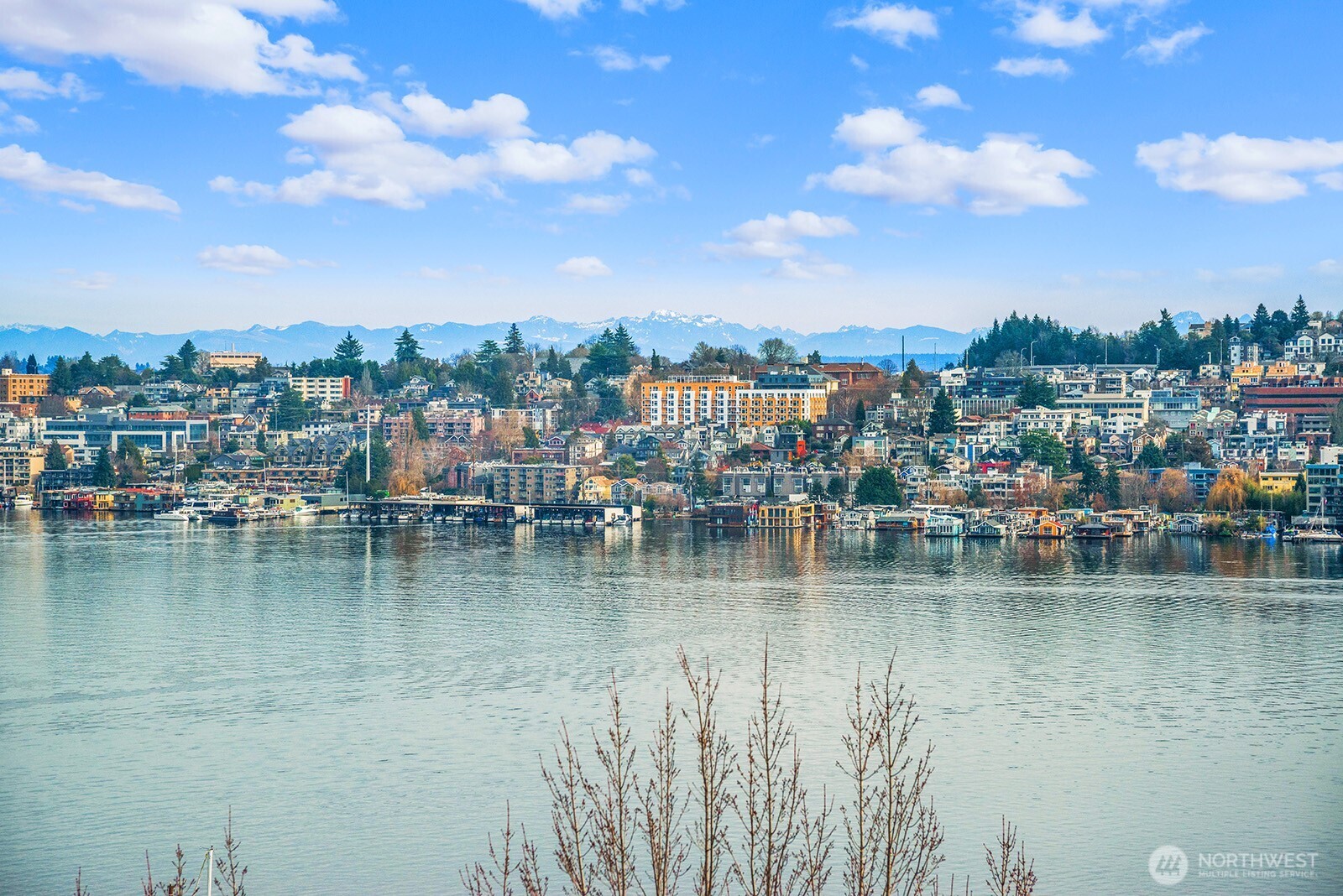 2401 8th Avenue N #202, Seattle, WA 98109