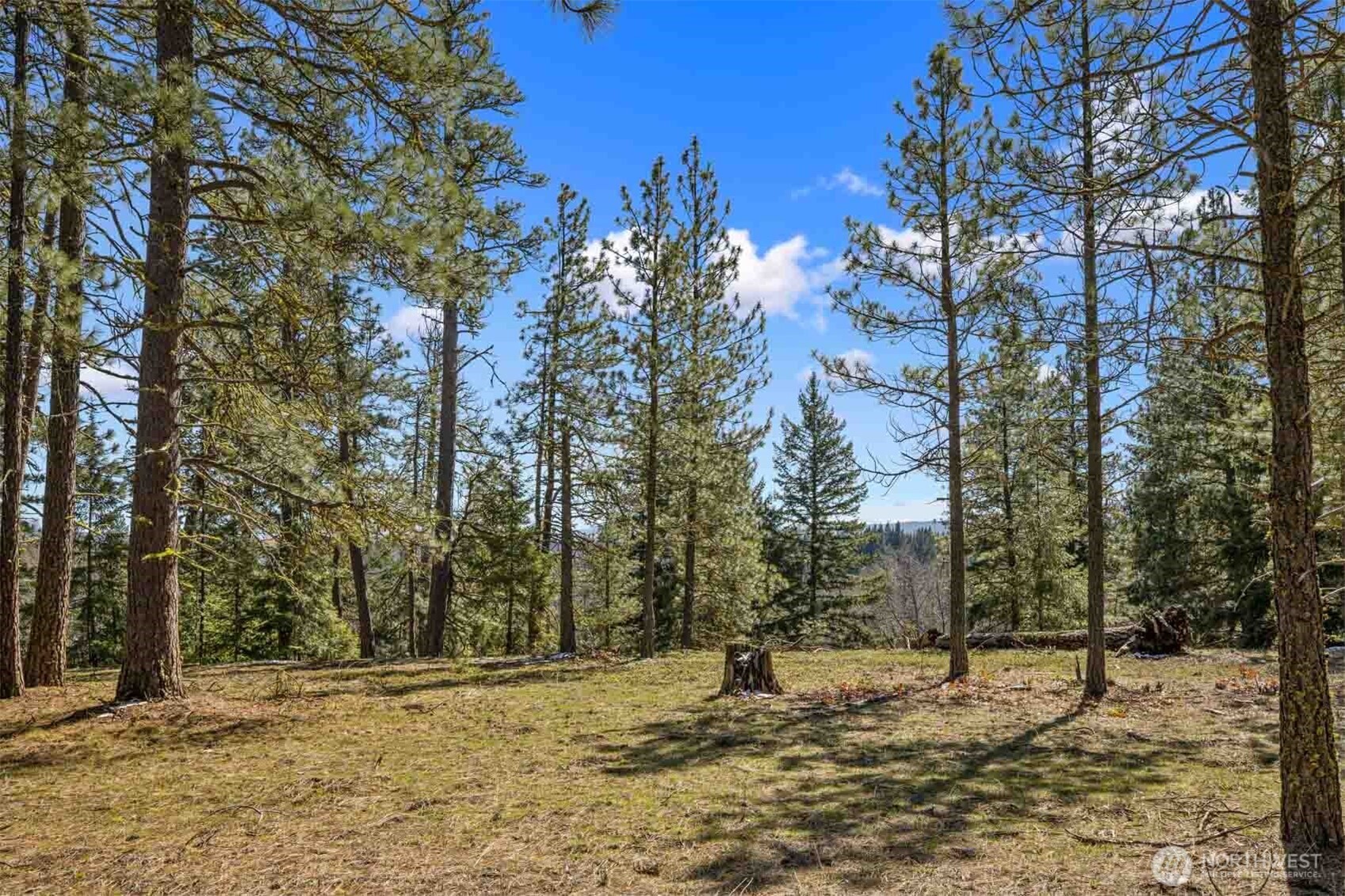 38 Wanawish Loop , Cle Elum, WA 98922