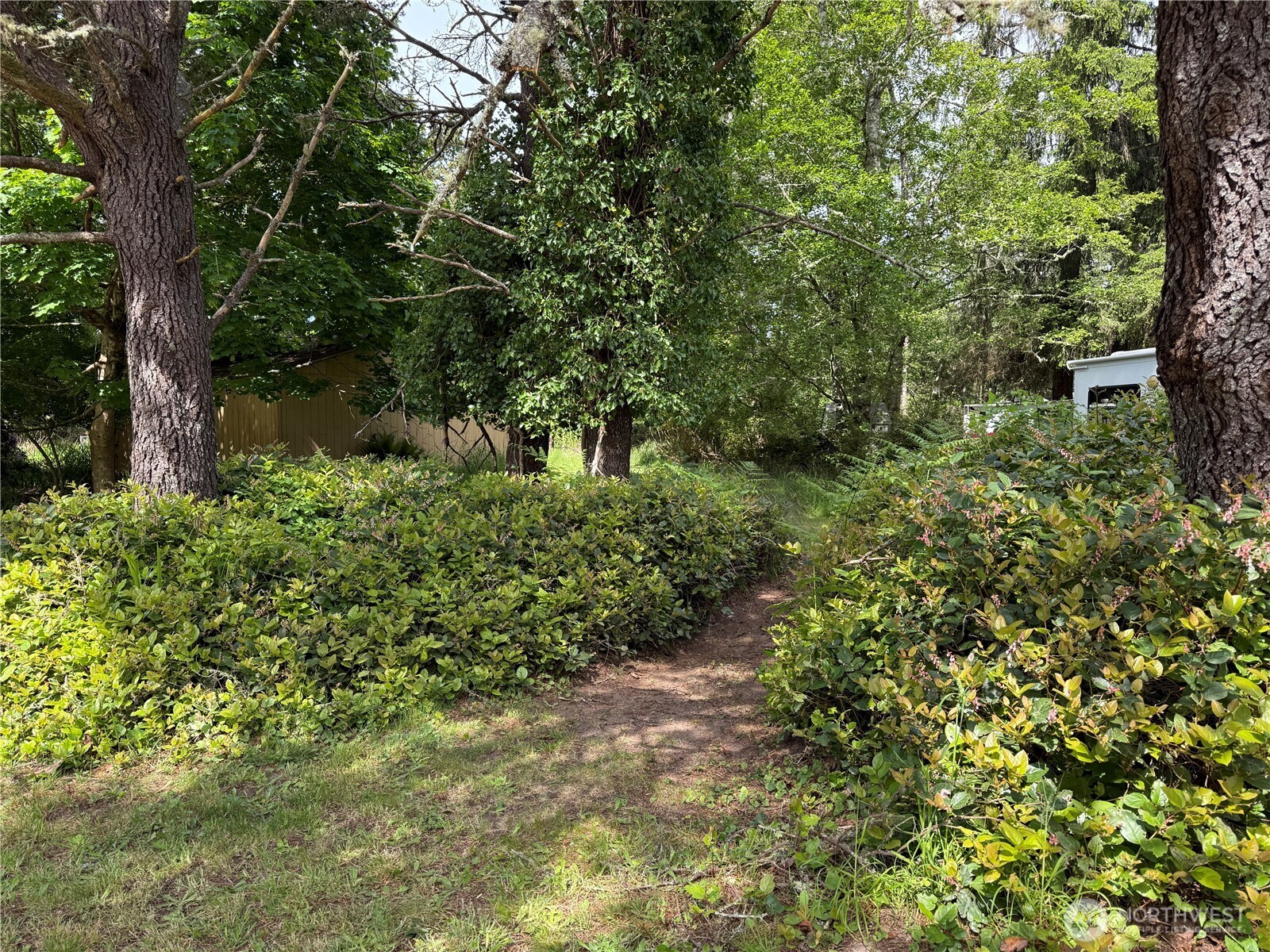 1305 322nd Place , Ocean Park, WA 98640