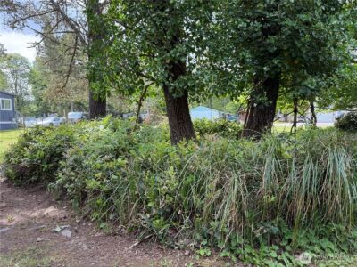 1305 322nd Place , Ocean Park, WA 98640 - Photo 5