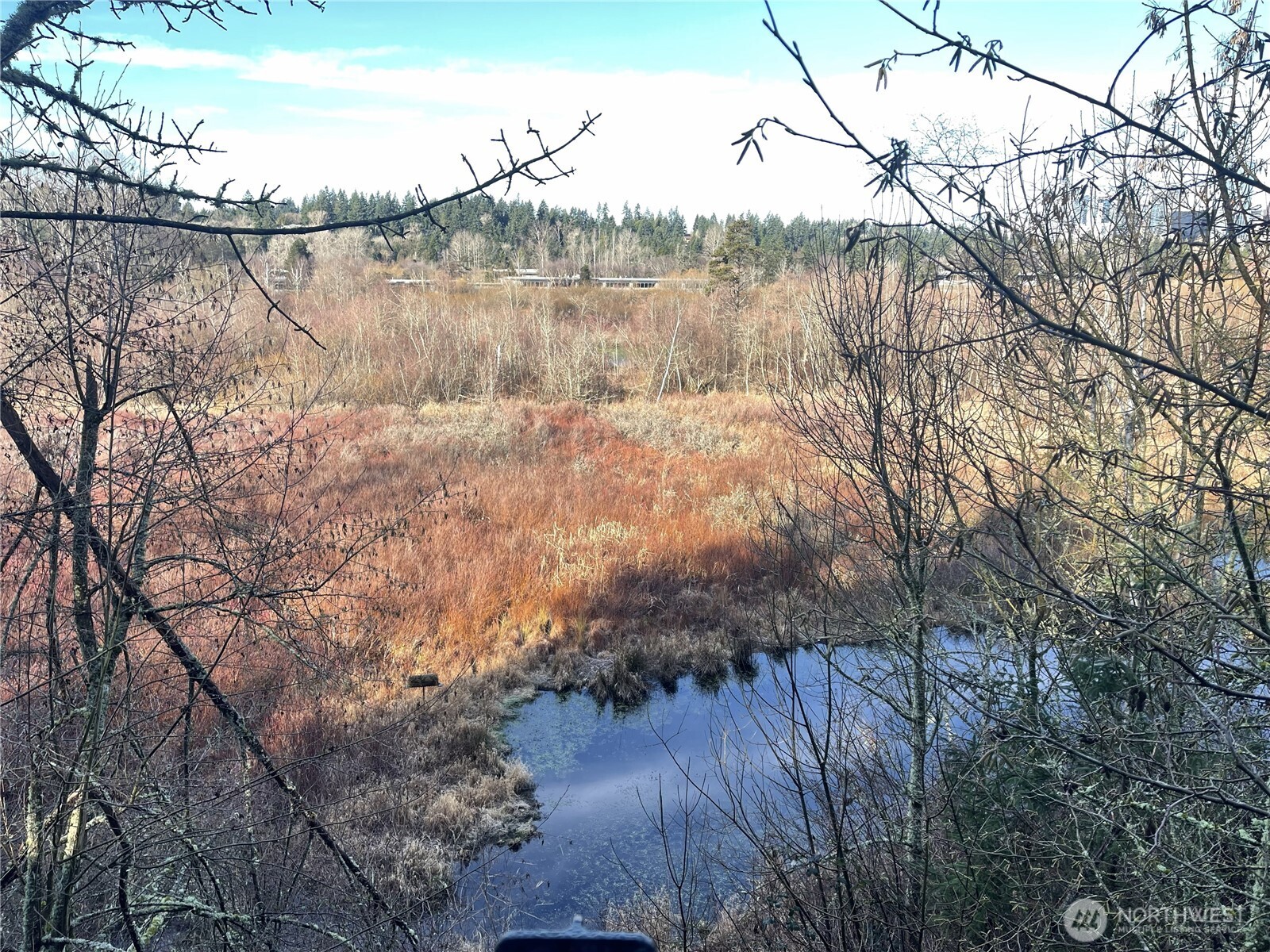 1628 118th Avenue SE #F316, Bellevue, WA 98005