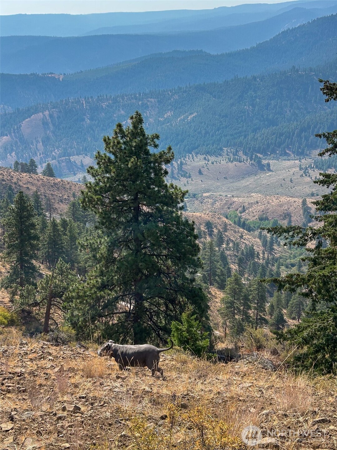 3050 Stiss Canyon , Wenatchee, WA 98801