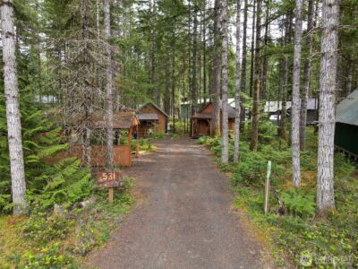 531 N Kokanee Ridge Drive , Hoodsport, WA 98548 - Photo 24