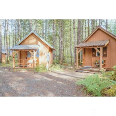 531 N Kokanee Ridge Drive , Hoodsport, WA 98548 - Photo 3