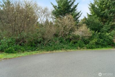 855 Hake Court SW, Ocean Shores, WA 98569 - Photo 8