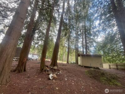81 E Annas Way , Shelton, WA 98584 - Photo 3