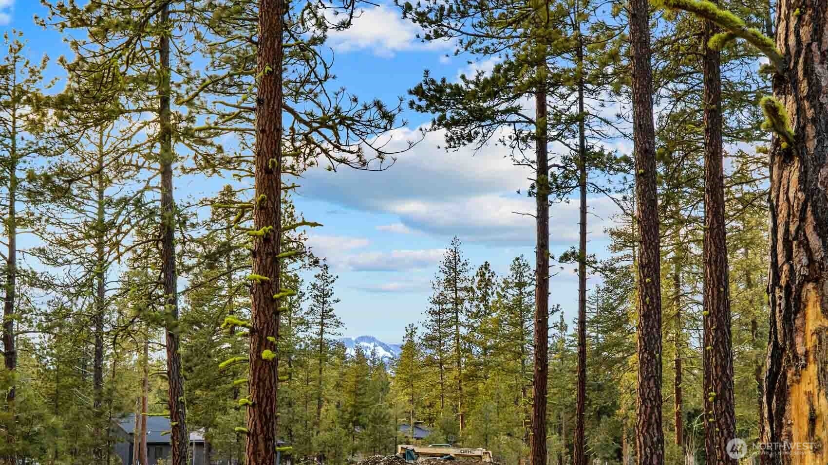 113 Wanawish Loop , Cle Elum, WA 98922