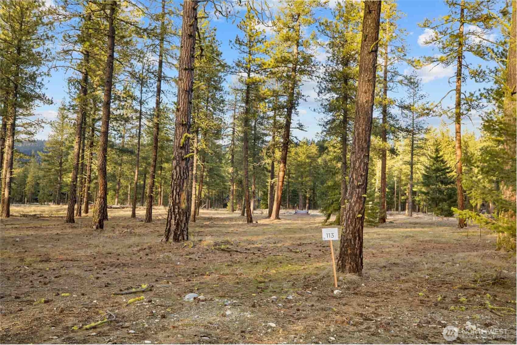 113 Wanawish Loop , Cle Elum, WA 98922