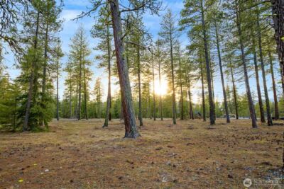 113 Wanawish Loop , Cle Elum, WA 98922