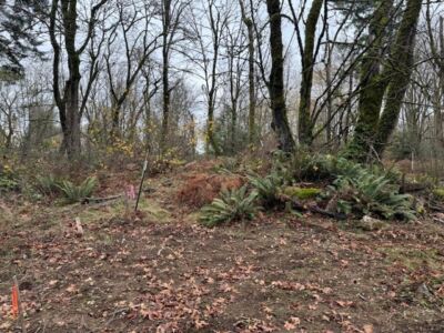 36836 52ND Avenue S #JK, Auburn, WA 98001 - Photo 11