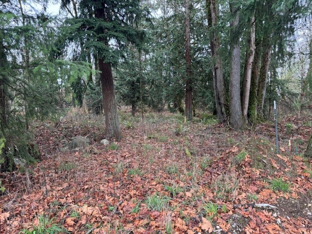 36836 52ND Avenue S #JK, Auburn, WA 98001