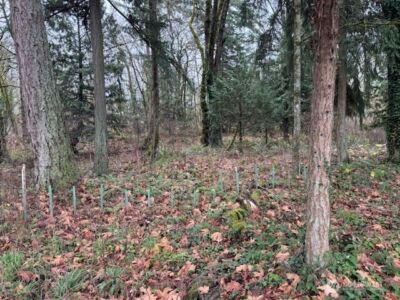 36812 52nd Avenue S #H, Auburn, WA 98001