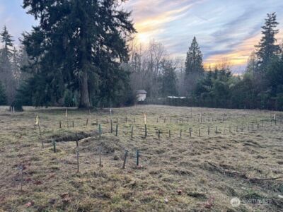 36829 52ND Avenue S #E/F, Auburn, WA 98001 - Photo 10