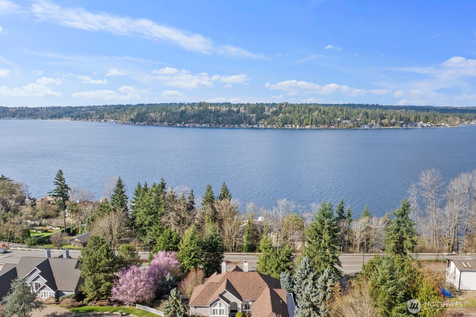 1665 204th Avenue NE, Sammamish, WA 98074