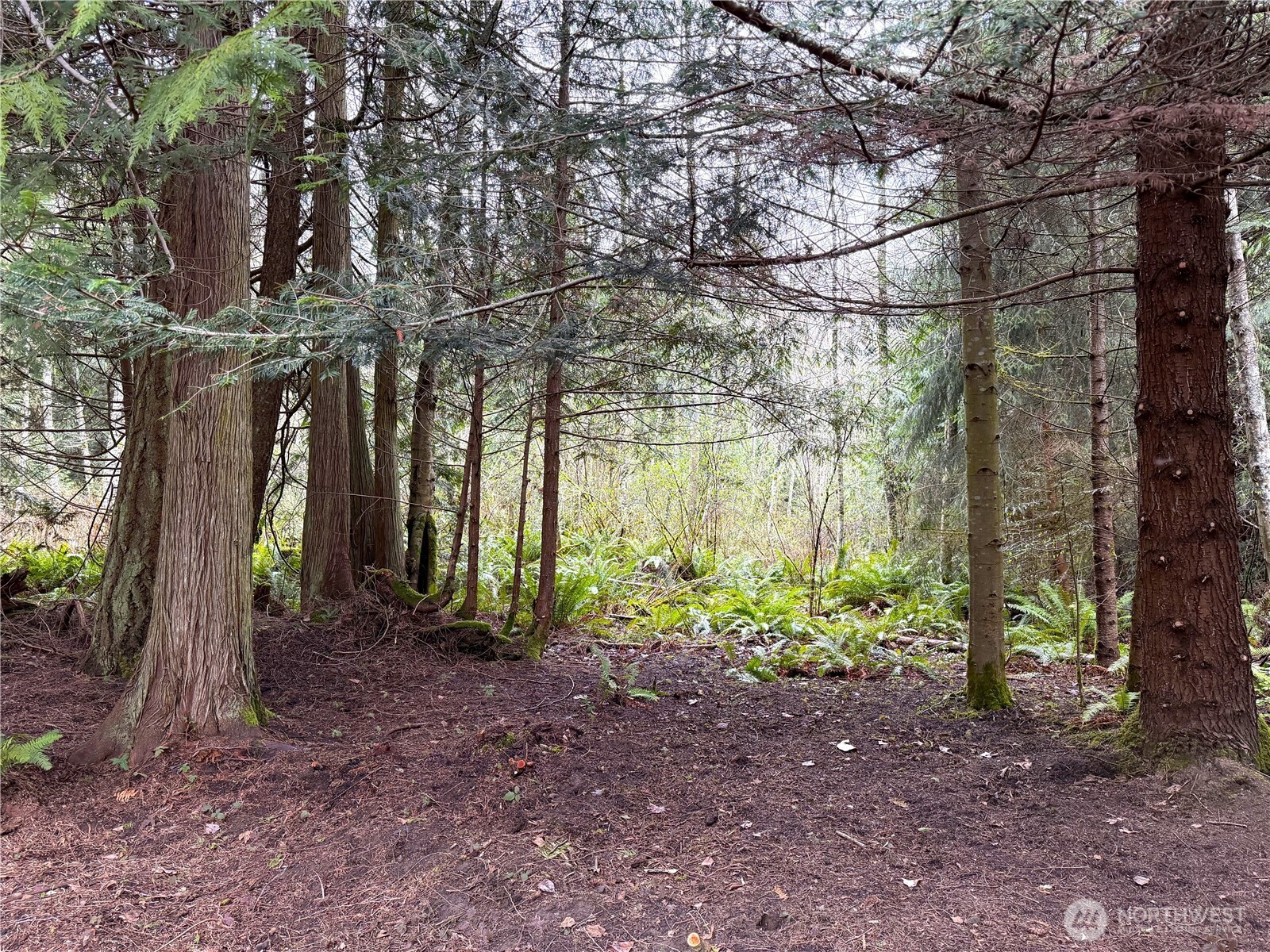 70 Cub Road , Port Townsend, WA 98368