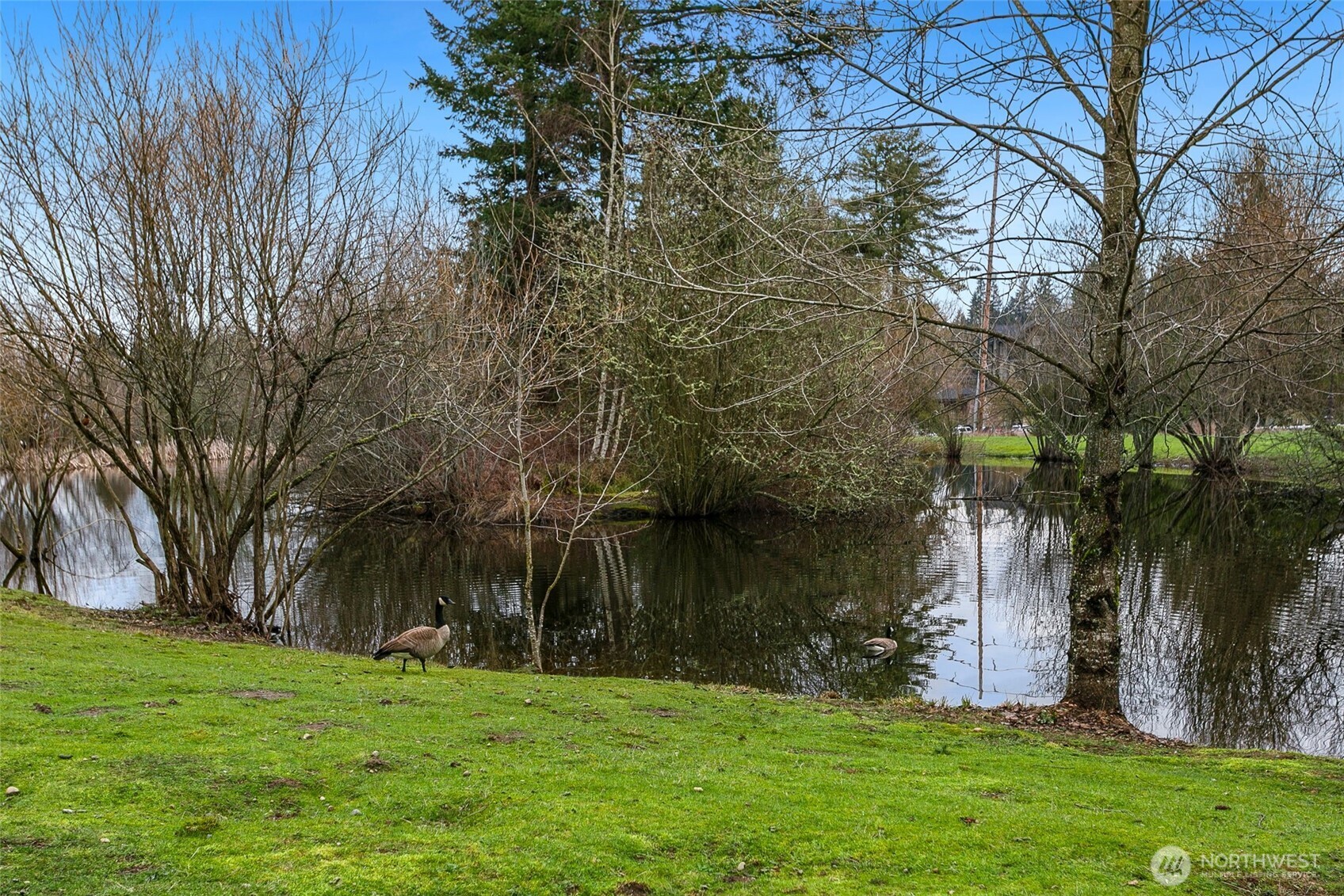 11515 138th Street Ct E, Puyallup, WA 98374