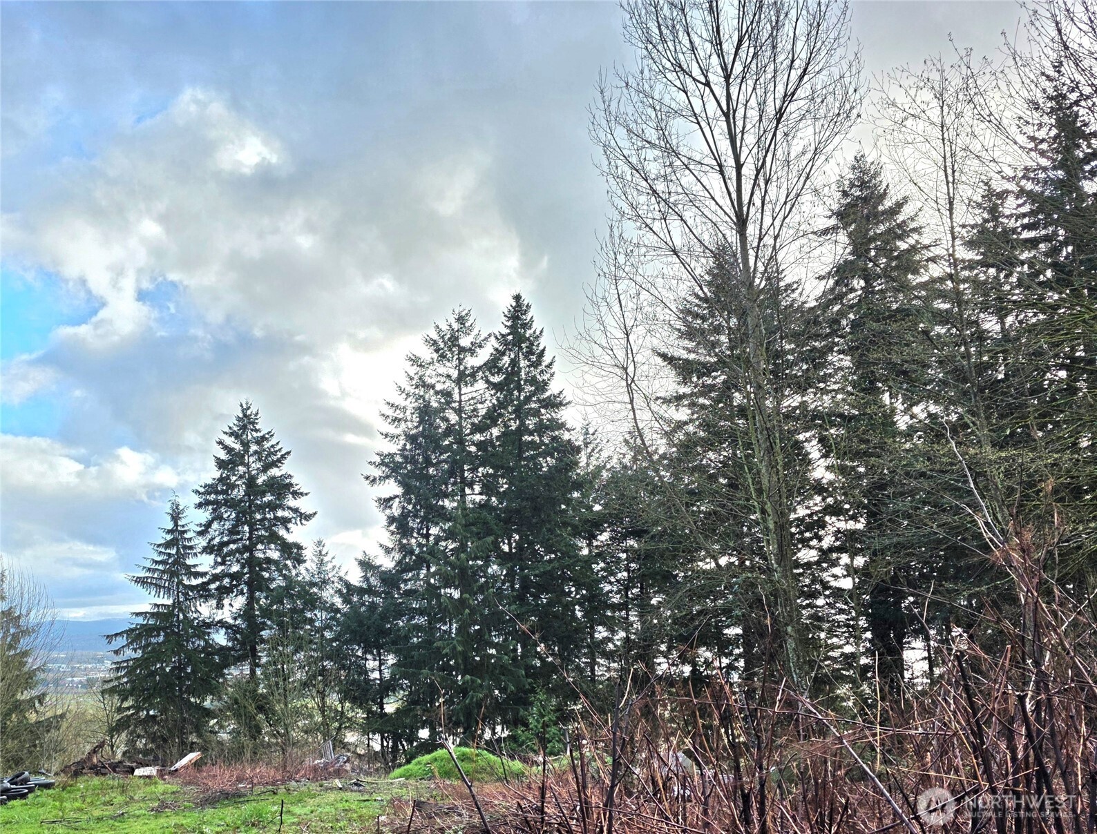 21211 35th Avenue S, SeaTac, WA 98198