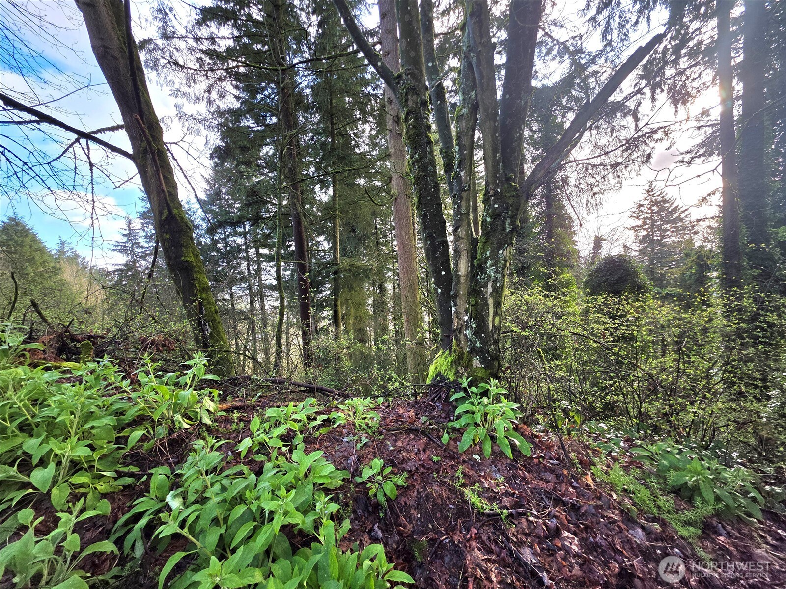 21211 35th Avenue S, SeaTac, WA 98198