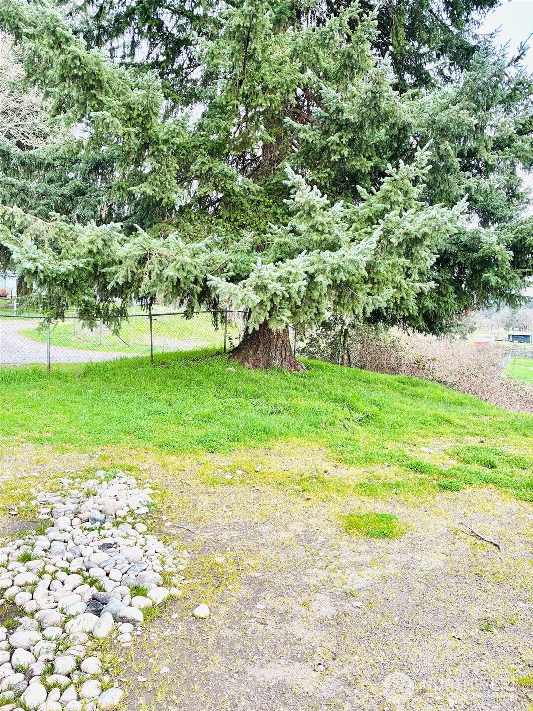 8212 350th Street Ct E, Roy, WA 98580