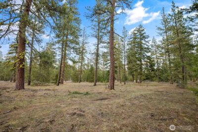 28 Wanawish Loop , Cle Elum, WA 98922