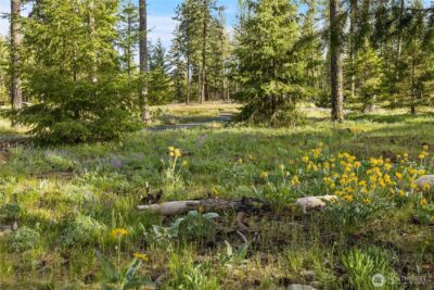 28 Wanawish Loop , Cle Elum, WA 98922 - Photo 10