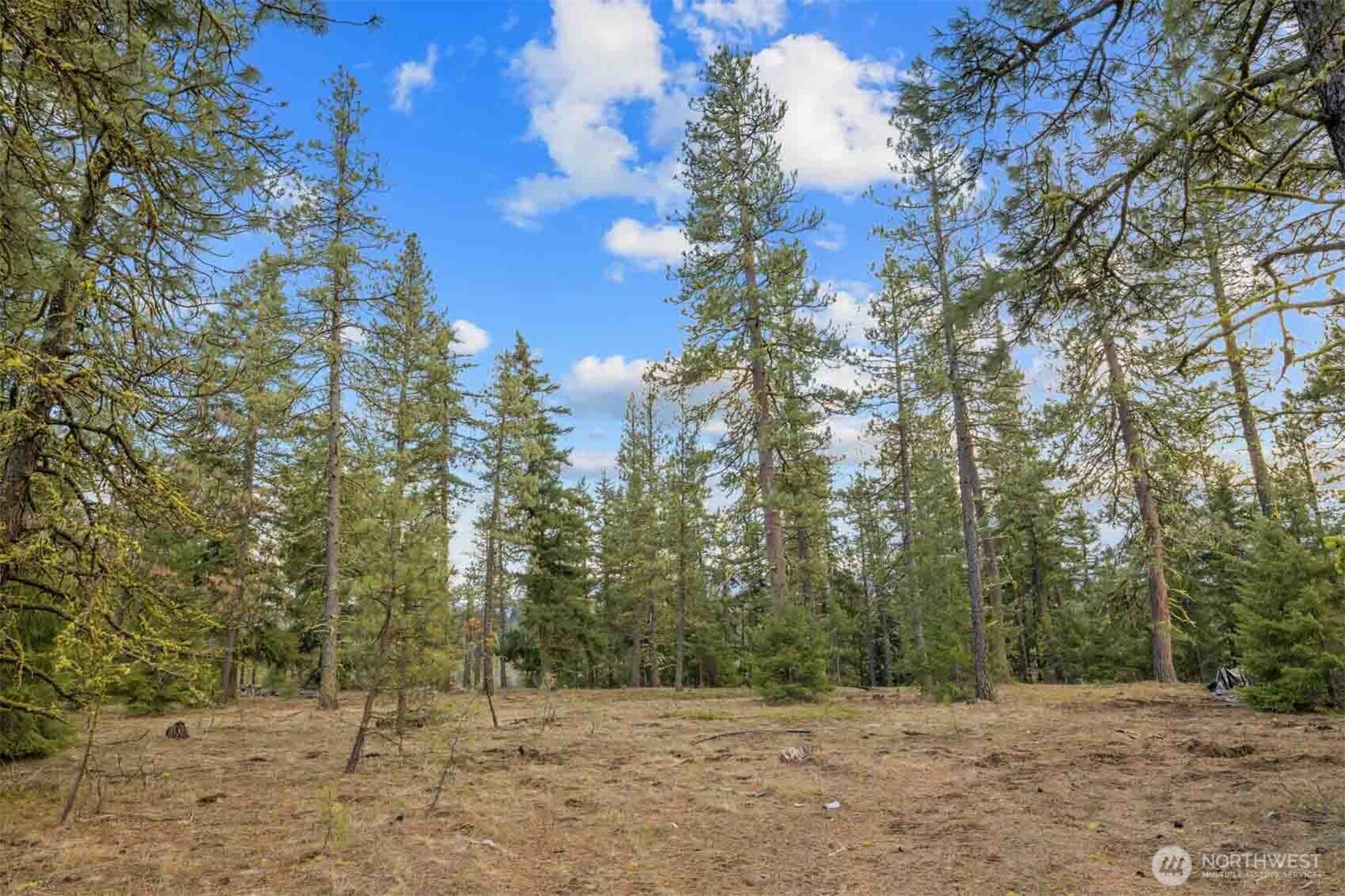 28 Wanawish Loop , Cle Elum, WA 98922