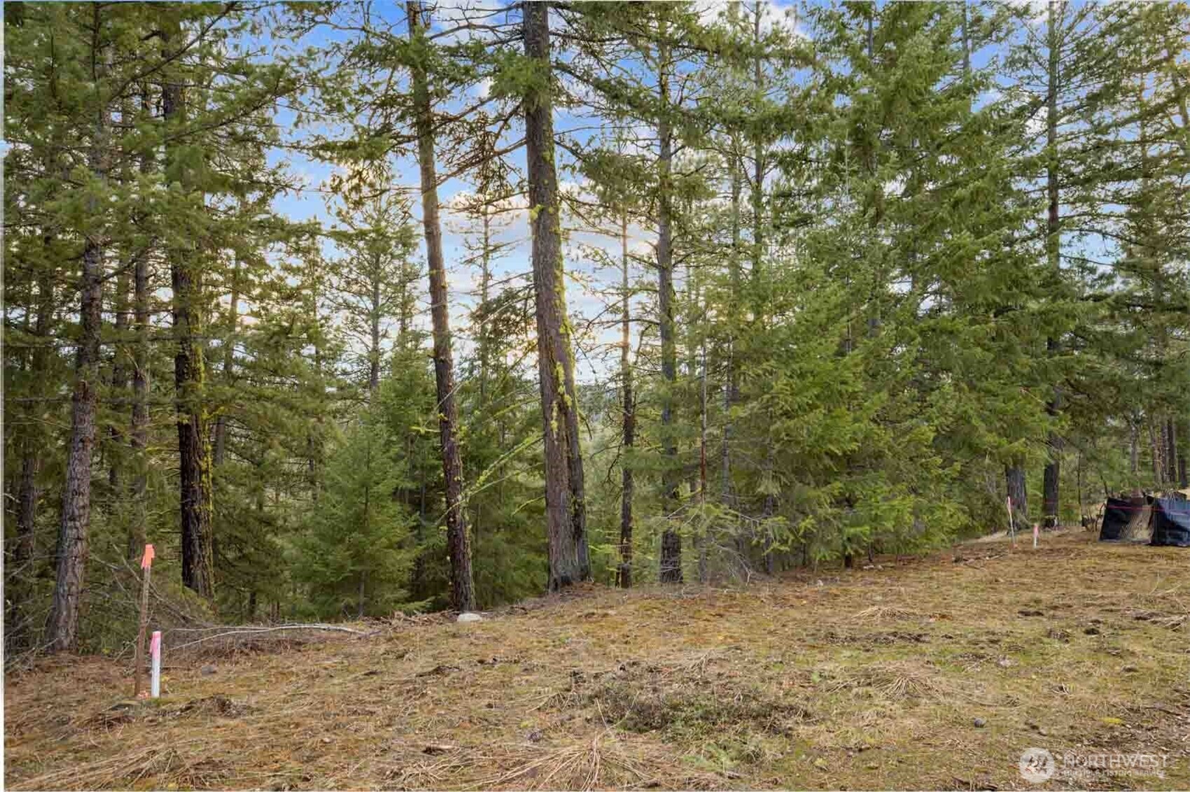 28 Wanawish Loop , Cle Elum, WA 98922