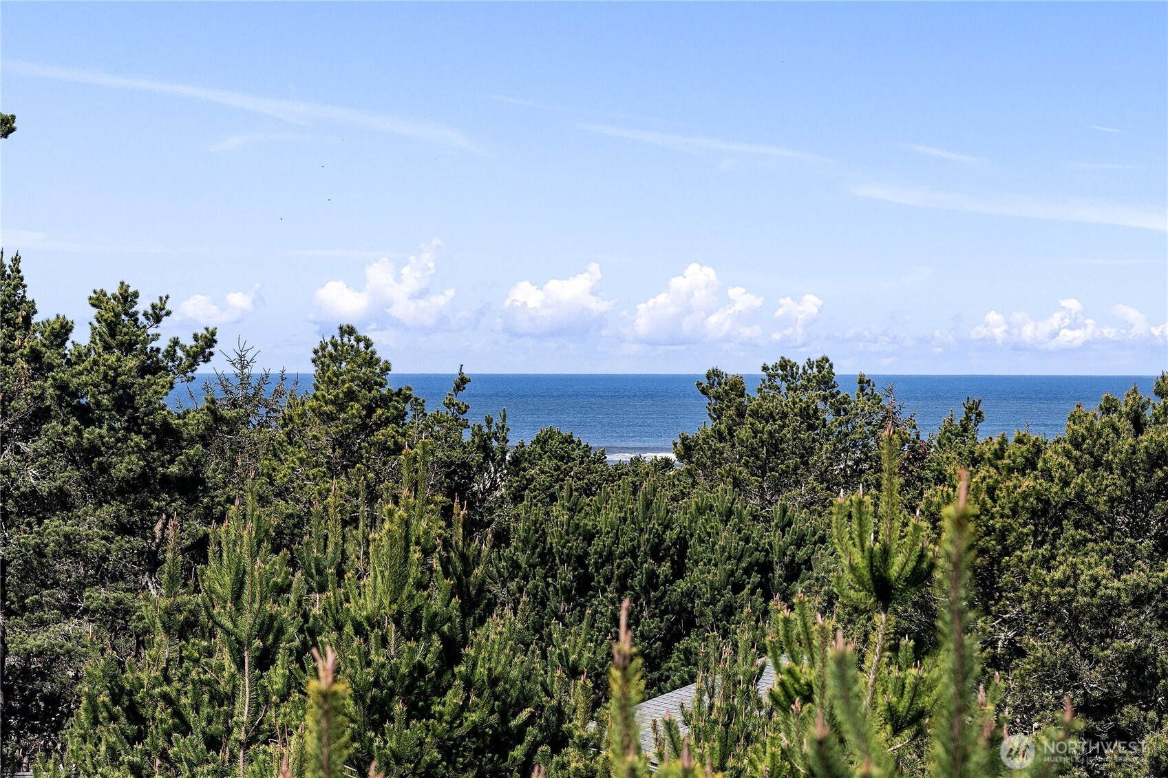 29375 L Lane , Ocean Park, WA 98640