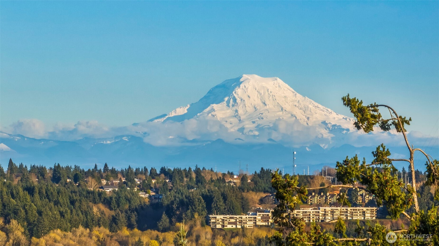 3323 9th Avenue Ct NW, Gig Harbor, WA 98335