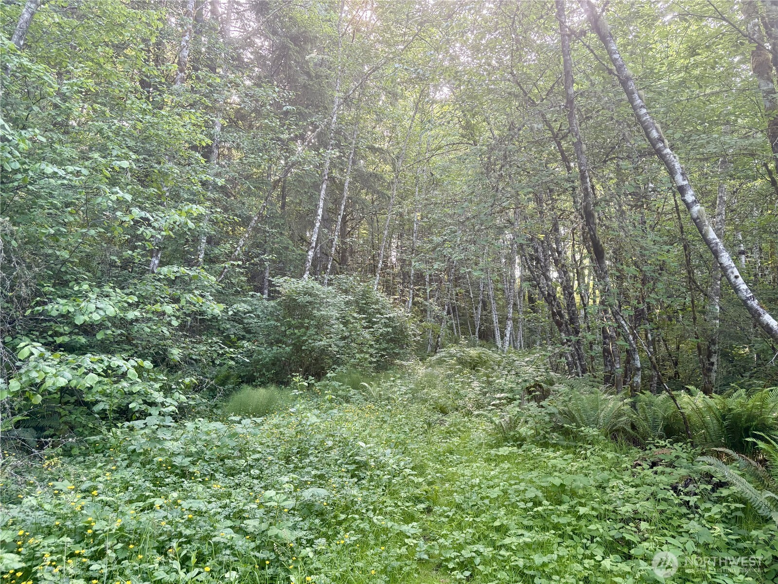 20249 State Route 305 NE, Poulsbo, WA 98370