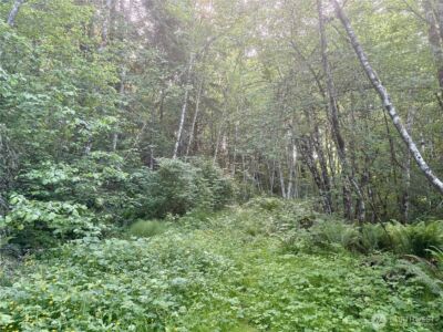 20249 State Route 305 NE, Poulsbo, WA 98370 - Photo 15