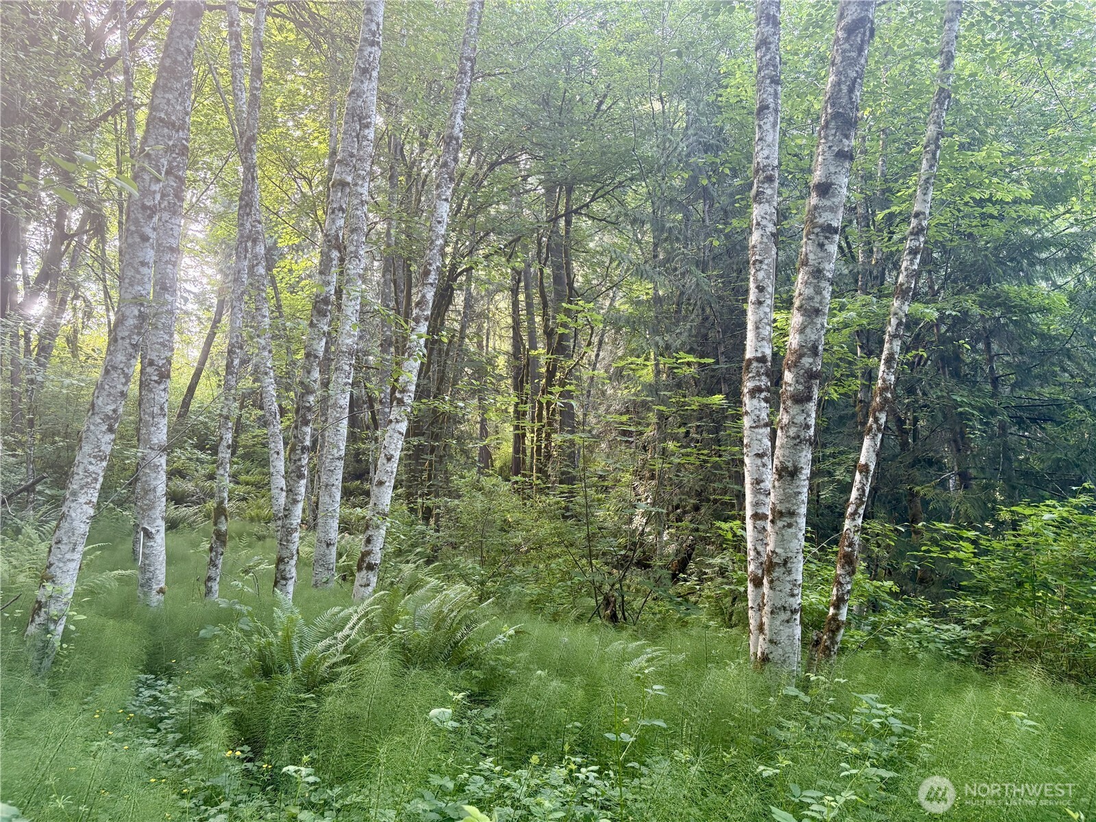 20249 State Route 305 NE, Poulsbo, WA 98370