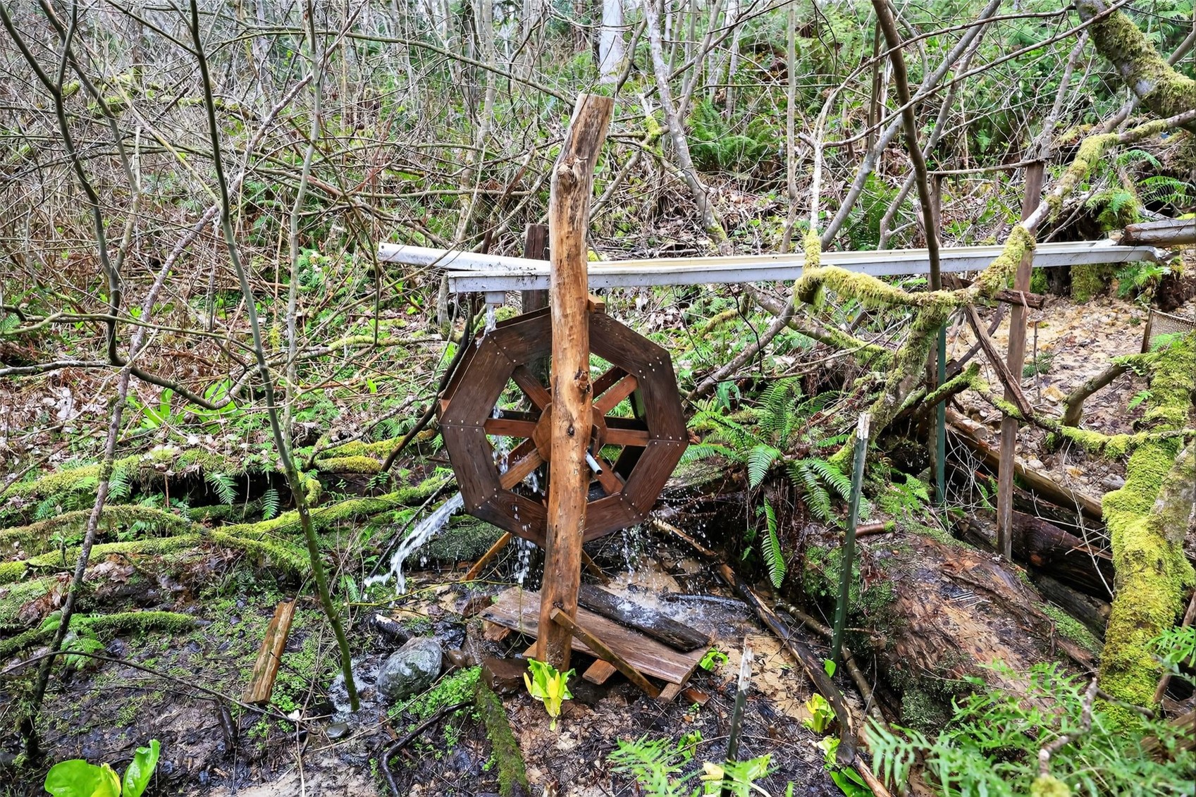 716 Garden Hill Rd , Elma, WA 98541