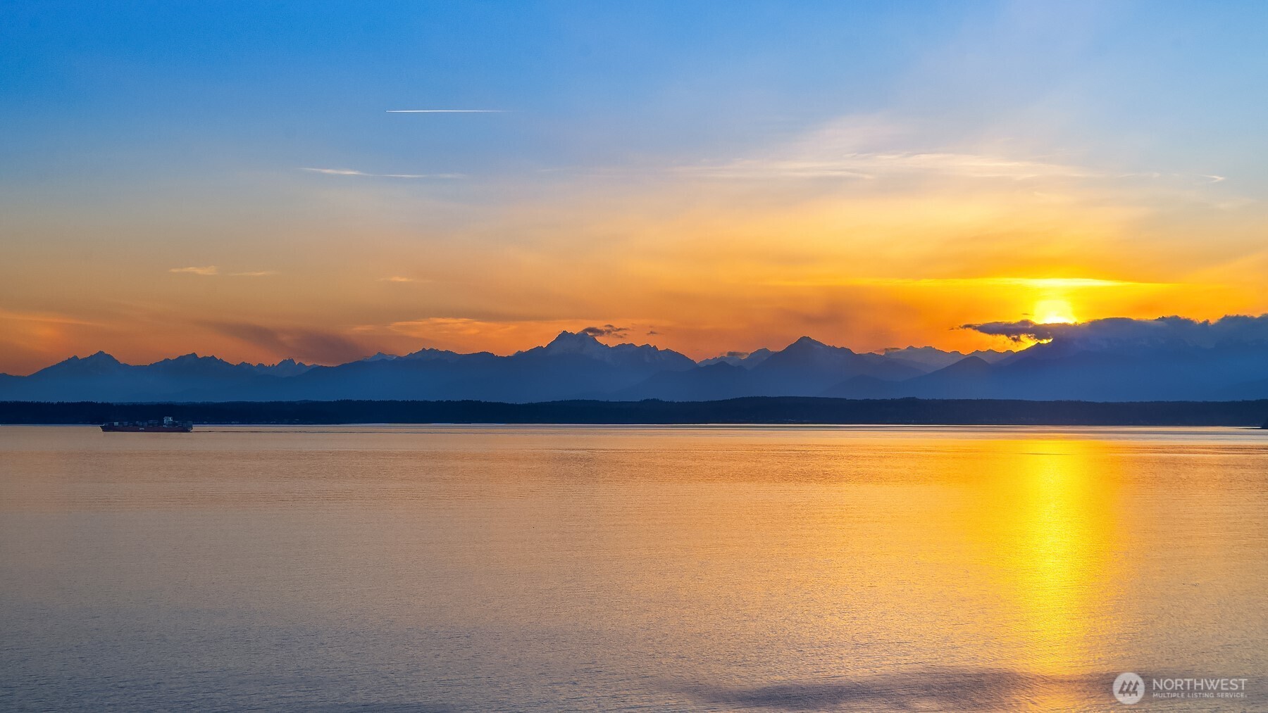 1206 NW Culbertson Drive , Seattle, WA 98177