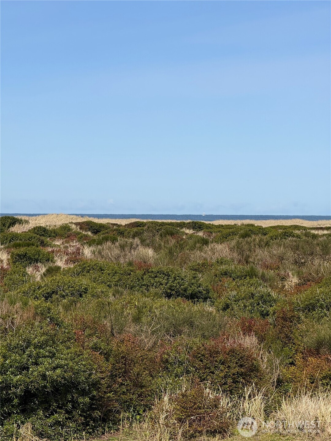 1027 S Sand Dune Avenue SW #1A, Ocean Shores, WA 98569