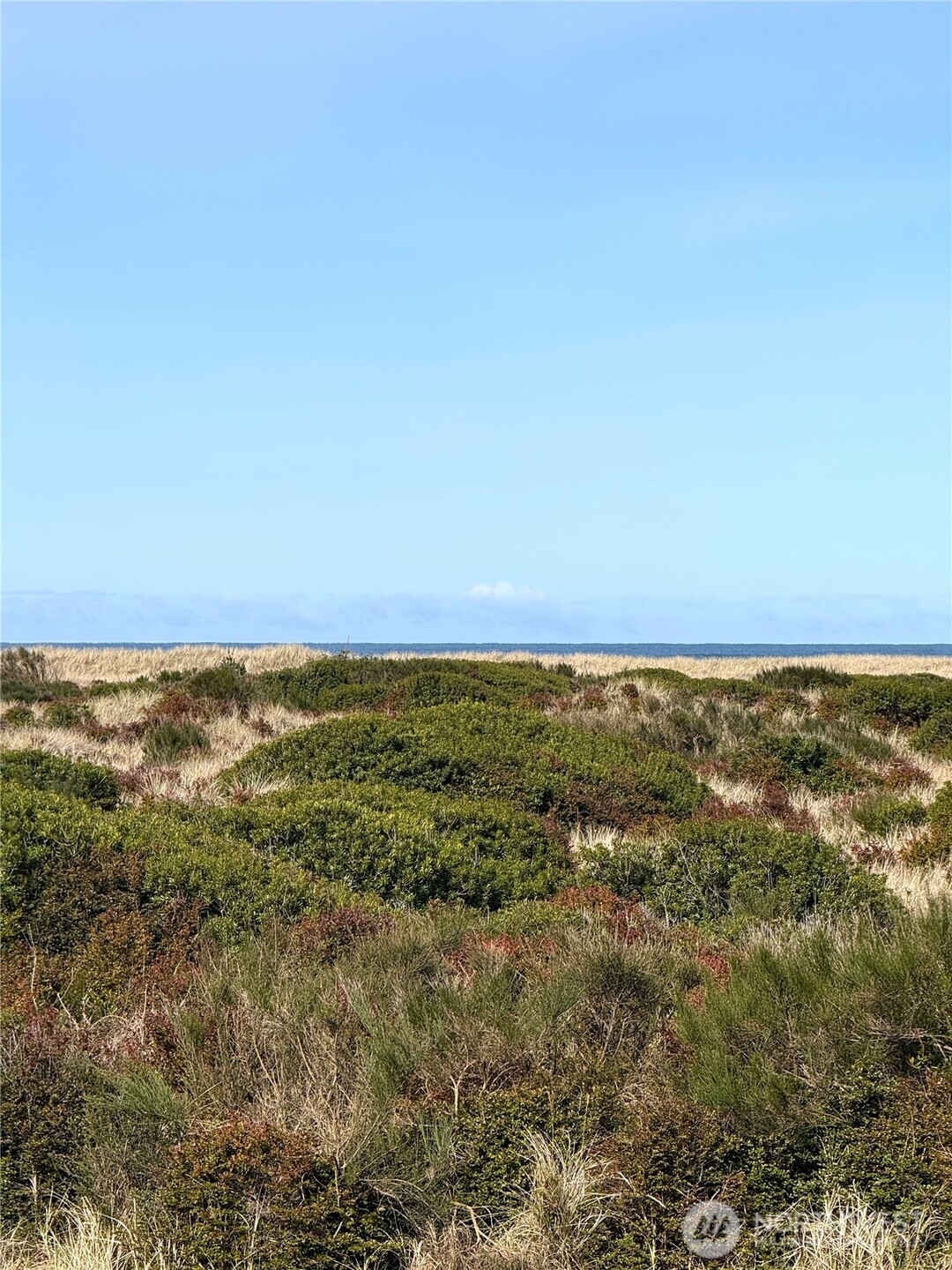 1027 S Sand Dune Avenue SW #1A, Ocean Shores, WA 98569