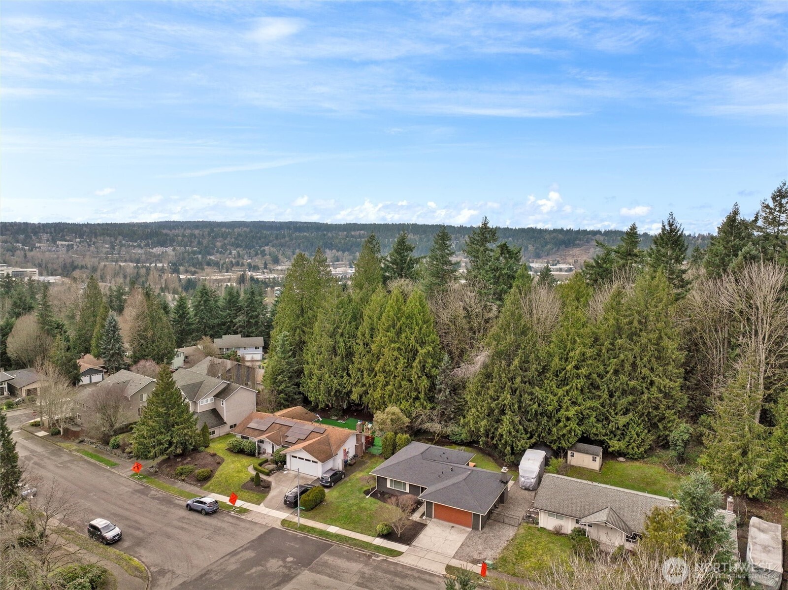 10009 161st Avenue NE, Redmond, WA 98052