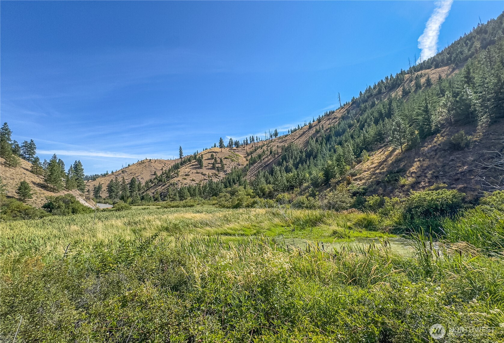 10558 Mud Creek Road , Entiat, WA 98822