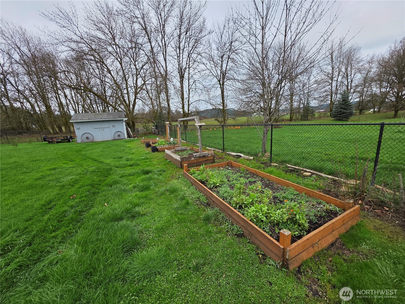 1294 Boistfort Road , Curtis, WA 98532-9723