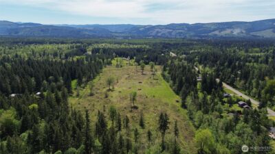 15138 Champion Estate Drive SE, Yelm, WA 98597 - Photo 3