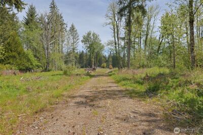 15138 Champion Estate Drive SE, Yelm, WA 98597 - Photo 4