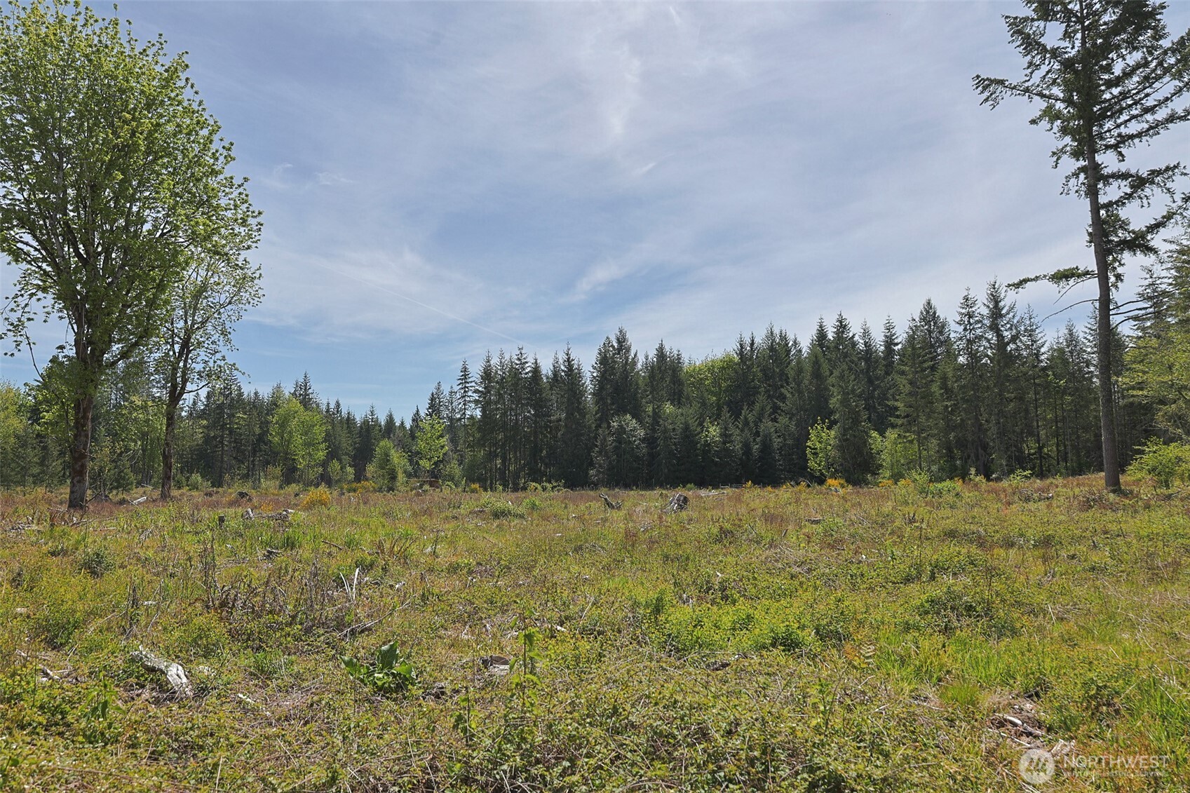 15138 Champion Estate Drive SE, Yelm, WA 98597