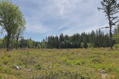 15138 Champion Estate Drive SE, Yelm, WA 98597 - Photo 5