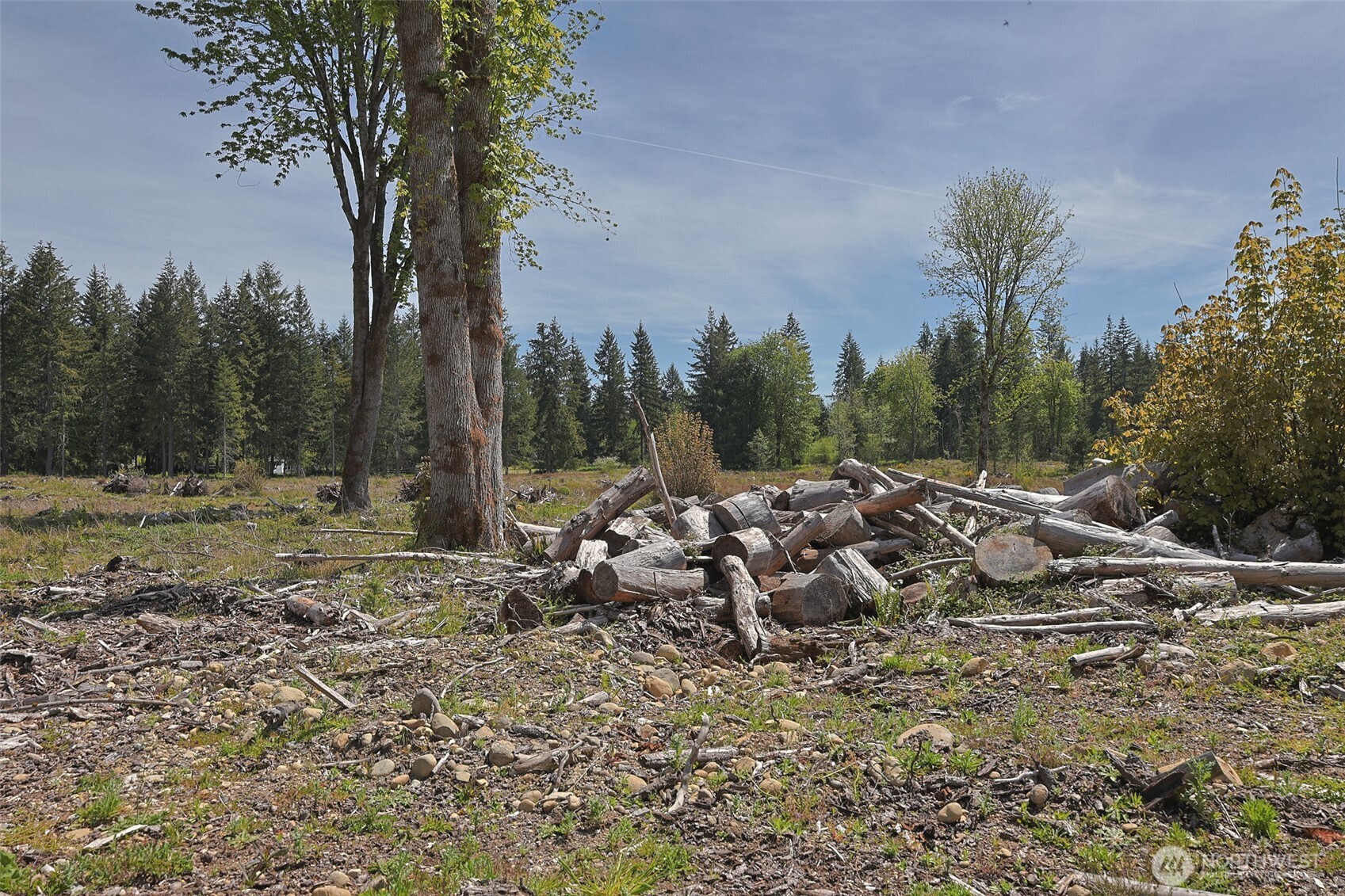 15138 Champion Estate Drive SE, Yelm, WA 98597