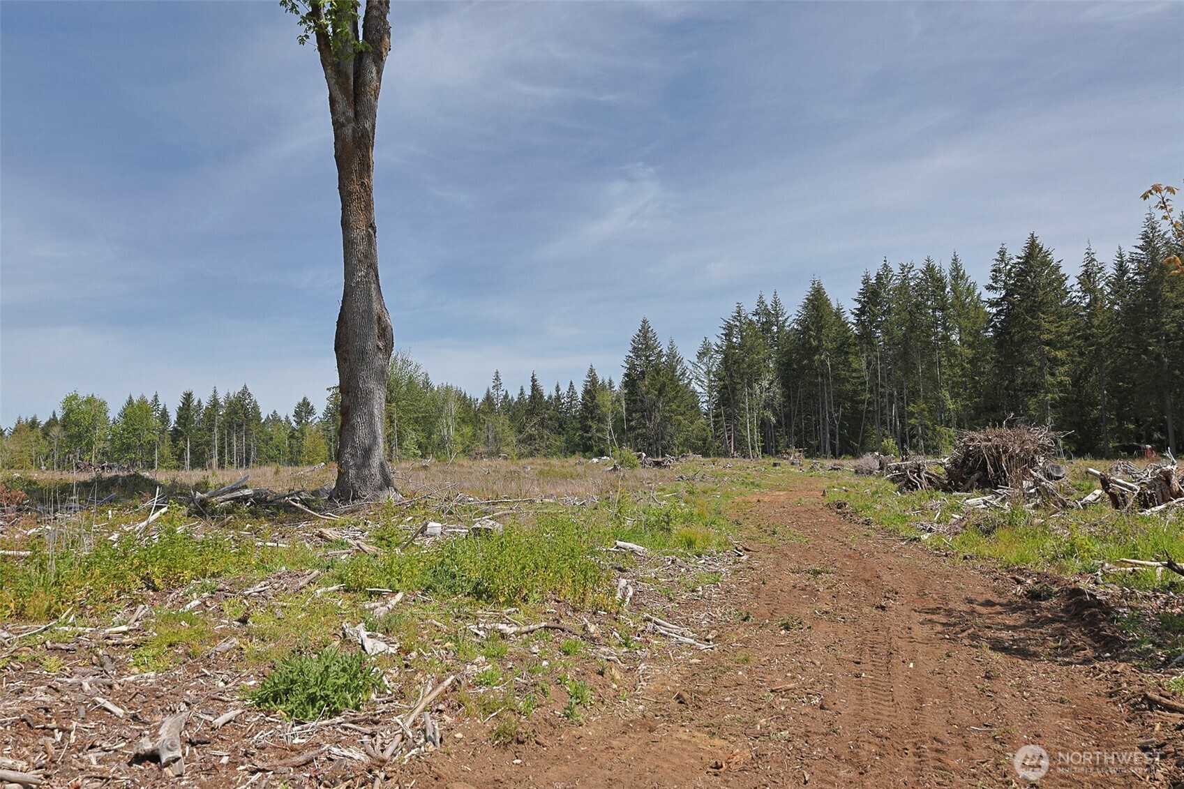 15138 Champion Estate Drive SE, Yelm, WA 98597