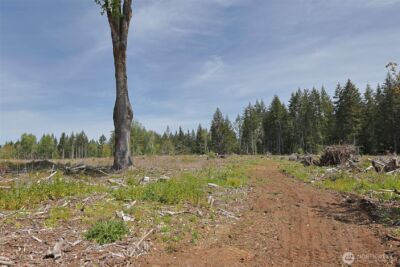 15138 Champion Estate Drive SE, Yelm, WA 98597 - Photo 9