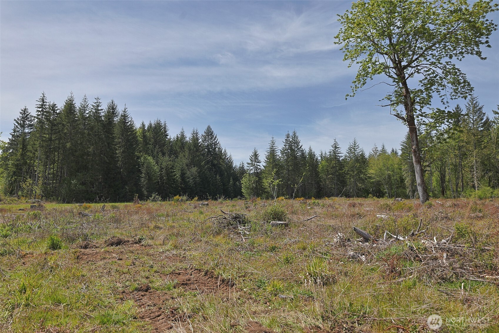 15138 Champion Estate Drive SE, Yelm, WA 98597