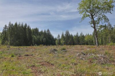 15138 Champion Estate Drive SE, Yelm, WA 98597 - Photo 10